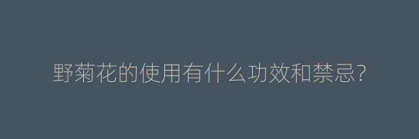 野菊花的使用有什么功效和禁忌？