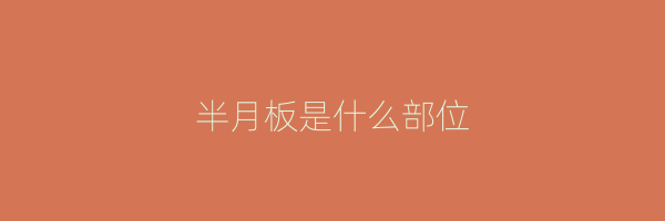 半月板是什么部位